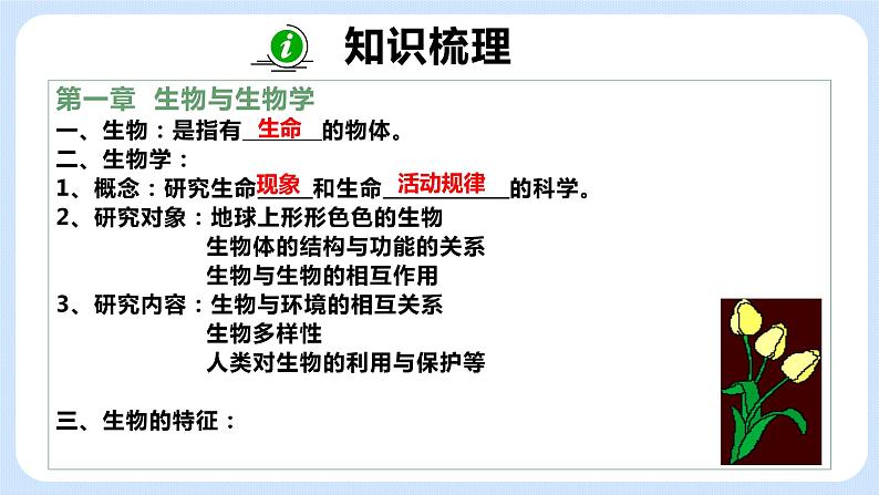 《期中复习》课件第2页