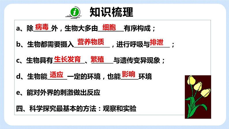 《期中复习》课件第3页