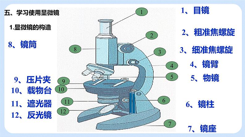 《期中复习》课件第4页