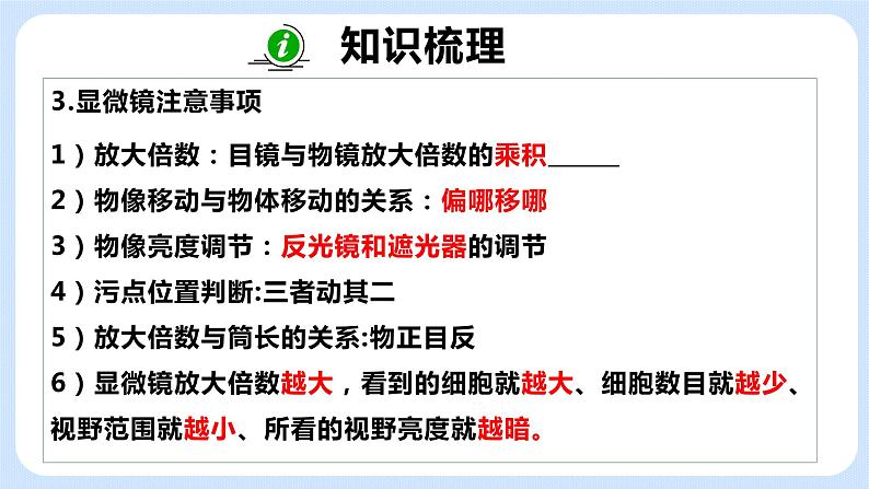 《期中复习》课件第6页