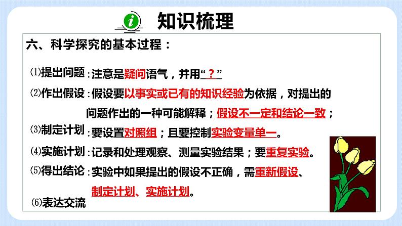 《期中复习》课件第7页
