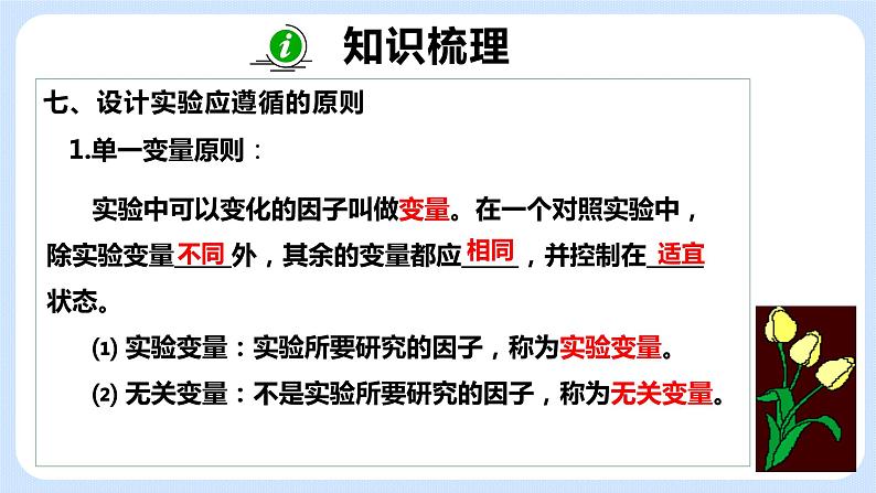 《期中复习》课件第8页