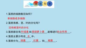 初中生物北师大版八年级下册第3节  植物的主要类群完美版ppt课件
