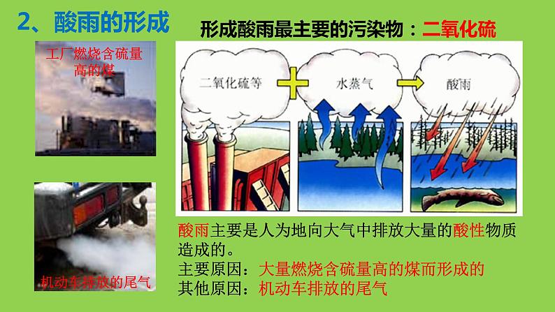 第七章 第二节 探究环境污染对生物的影响课件PPT第6页