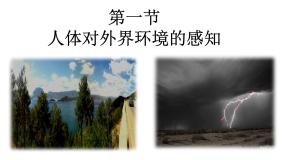 生物第一节 人体对外界环境的感知示范课ppt课件