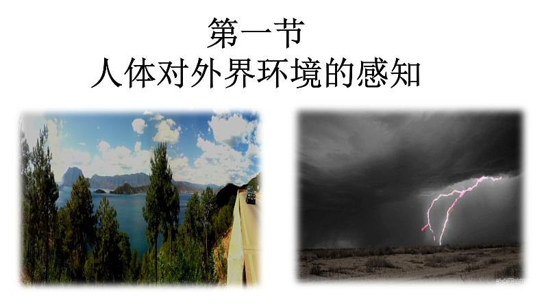 鲁科版生物 《人体对外界环境的感知》(第一课时)课件第1页