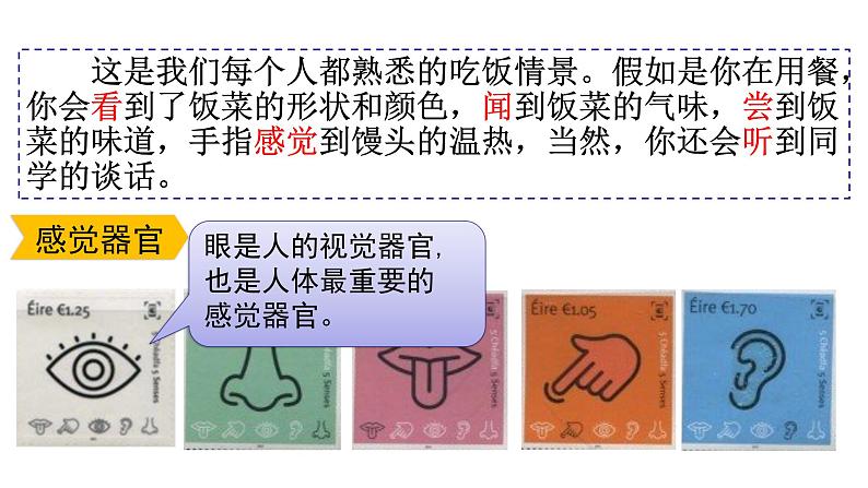 鲁科版生物 《人体对外界环境的感知》(第一课时)课件第3页
