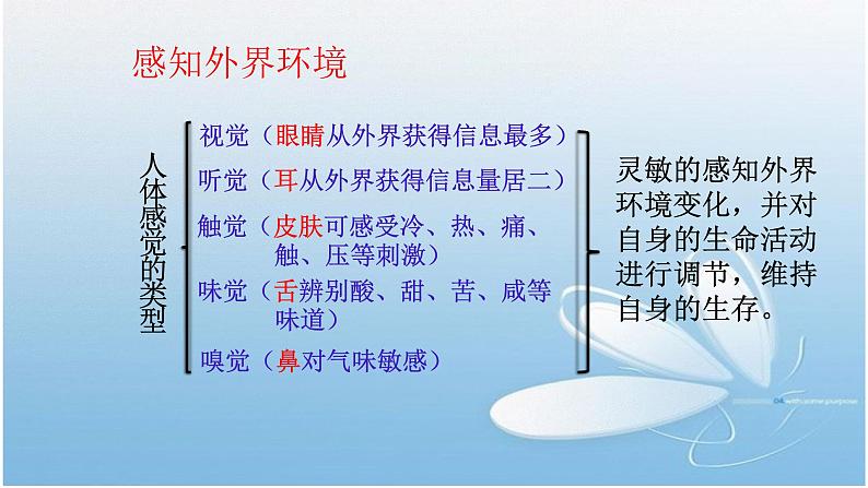 鲁科版生物 《人体对外界环境的感知》(第一课时)课件第5页