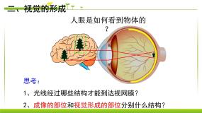 初中生物鲁科版 (五四制)七年级下册第一节 人体对外界环境的感知多媒体教学课件ppt