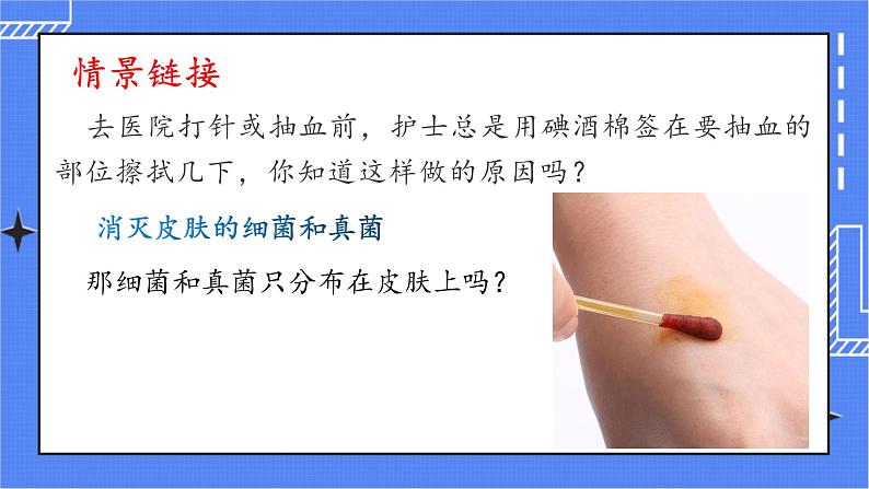 4.1 细菌和真菌的分布第1页