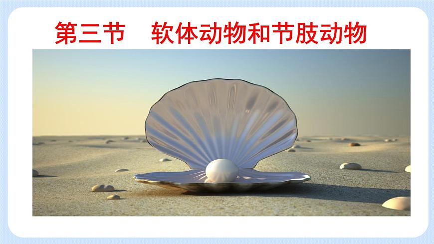 1.3《軟體動(dòng)物和節(jié)肢動(dòng)物》課件第2頁(yè)
