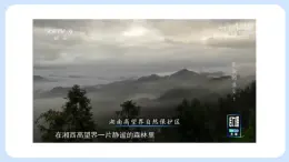 1.2.1 環(huán)境對(duì)生物的影響 課件+教案