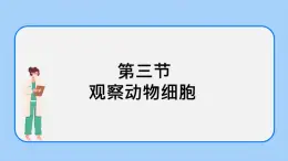 2.1.3  觀察動(dòng)物細(xì)胞 課件+教案