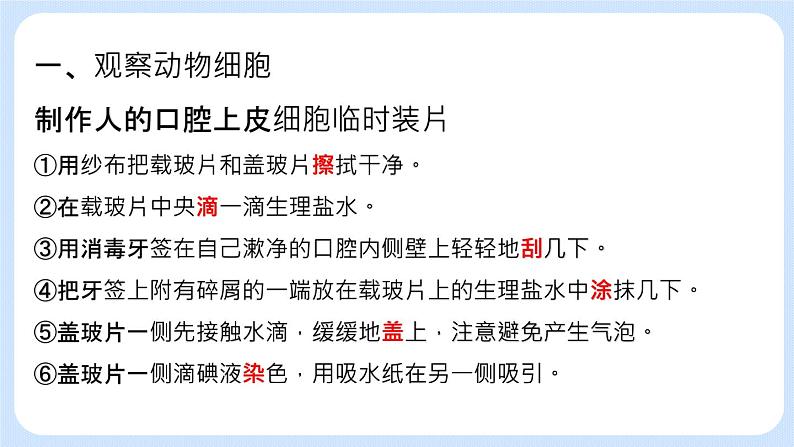 2.1.3 观察动物细胞 课件+教案04