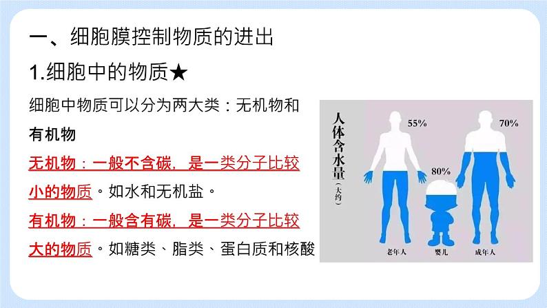 2.2.1 细胞的生活 课件+教案04