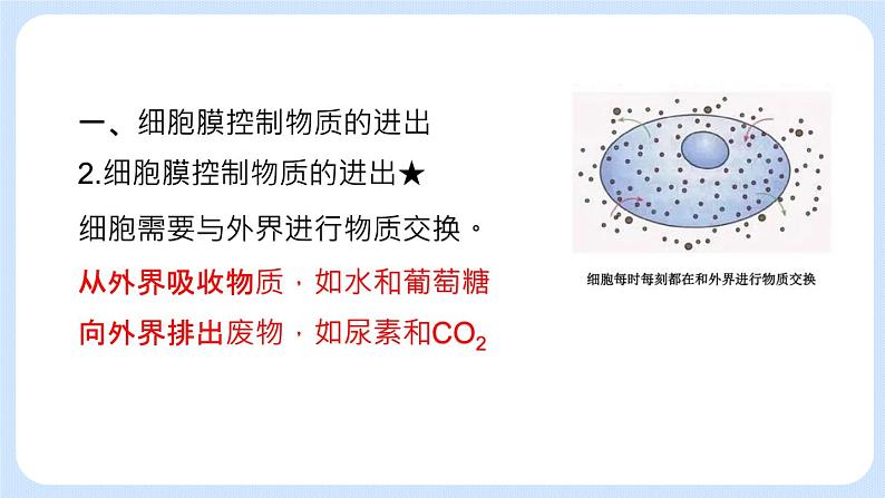 2.2.1 细胞的生活 课件+教案05