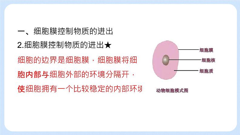 2.2.1 细胞的生活 课件+教案06