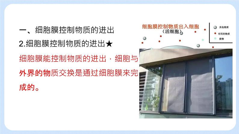 2.2.1 细胞的生活 课件+教案07