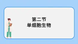 2.2.2 單細(xì)胞生物 課件+教案
