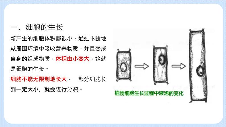 2.3.1 细胞的分裂 课件+教案05