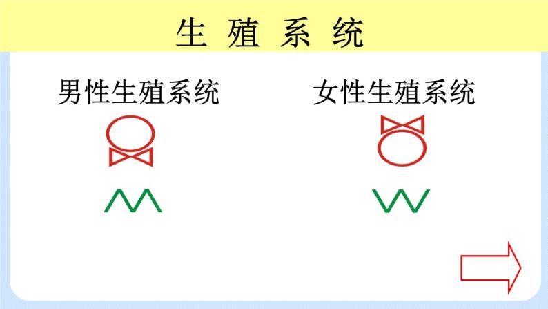 4.1.2《人的生殖》第2课时 课件04