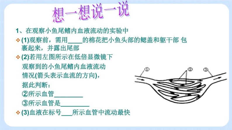 4.4.2《物质运输的管道》课件04