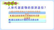 初中生物鲁科版 (五四制)七年级上册第二节 汗液的形成和排出完美版课件ppt