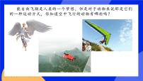 生物八年級上冊第六節(jié)   鳥優(yōu)質課件ppt
