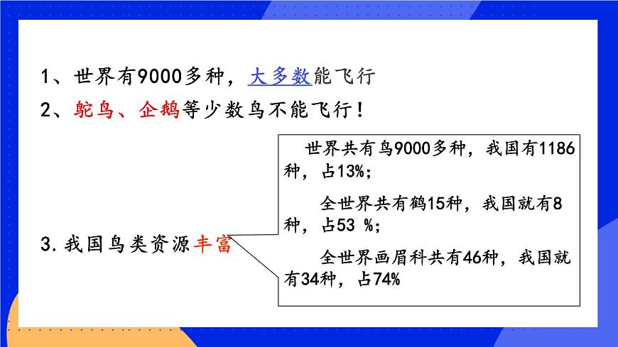 1.6 鳥 課件第7頁