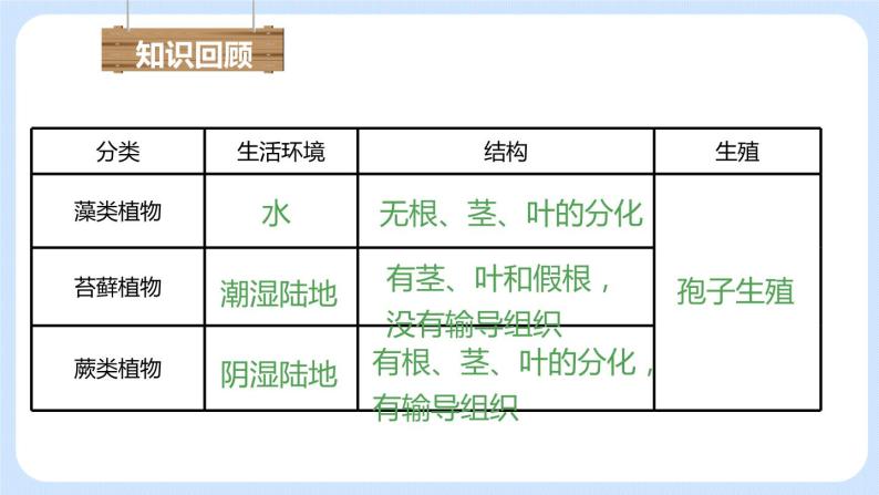 3.1.2种子植物 课件02