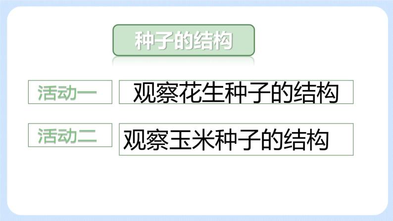 3.1.2种子植物 课件05