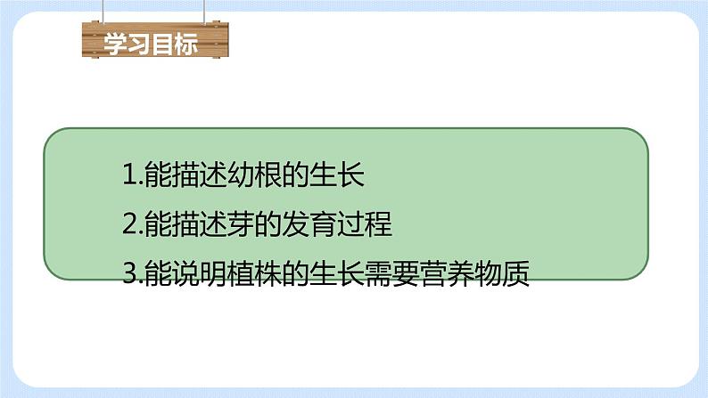 3.2.2植株的生长 课件+素材04