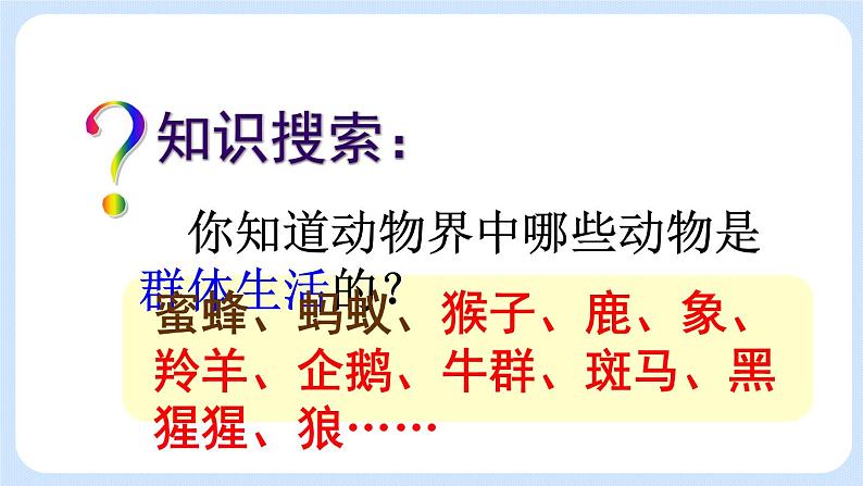 5.2.3 社会行为 课件03