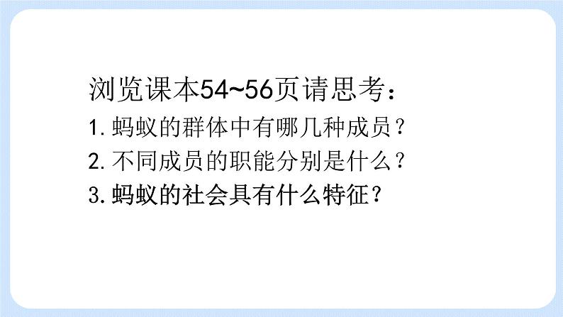 5.2.3 社会行为 课件04
