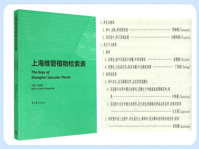 4.4《 生物的分类——分类检索表》 课件第2页