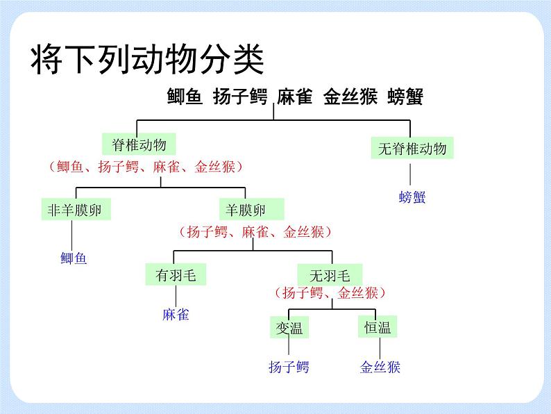 4.4《 生物的分类——分类检索表》 课件第4页