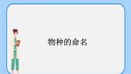 初中生物沪教版八年级下册 生命科学第四节 生物的分类精品课件ppt
