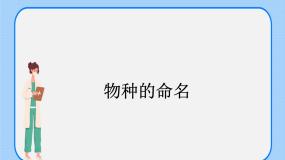 初中生物沪教版八年级下册 生命科学第四节 生物的分类精品课件ppt