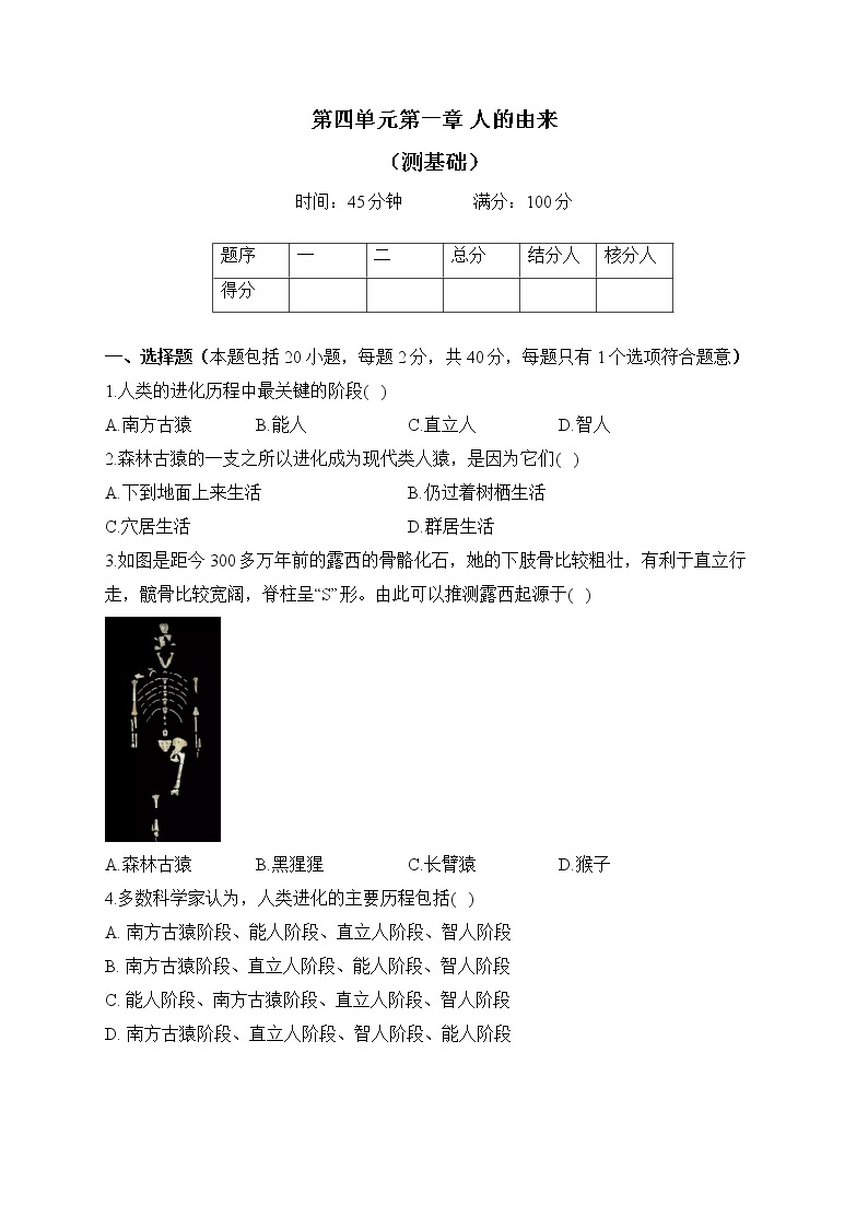 人教版生物七年级下册单元检测卷 第四单元第一章 人的由来（测基础）01