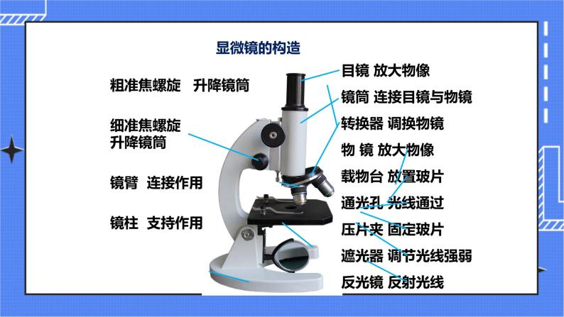 济南版生物七上 1.4 《生物学的研究工具》  课件+教案+练习05