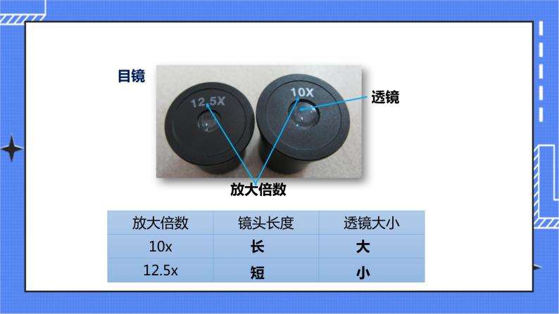 济南版生物七上 1.4 《生物学的研究工具》  课件+教案+练习07