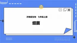 濟(jì)南版生物七上 2.2 《細(xì)胞的分裂與分化》 課件+教案+練習(xí)