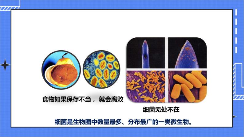 济南版生物七上 2.2 《细胞的分裂与分化》 课件+教案+练习03