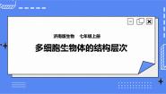 初中生物济南版七年级上册第三节 多细胞生物体的结构层次完美版ppt课件