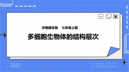 濟(jì)南版生物七上2.3 《多細(xì)胞生物體的結(jié)構(gòu)層次》  課件+教案+練習(xí)