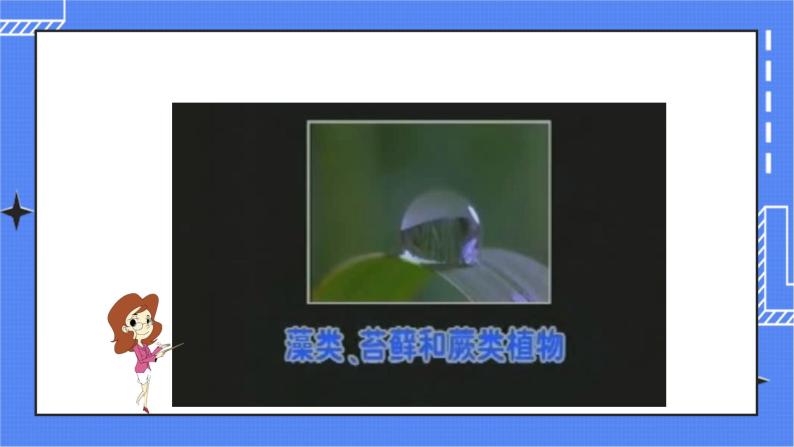 济南版生物七上 1.1 《绿色植物的主要类群》第1课时  教案+教案+练习04