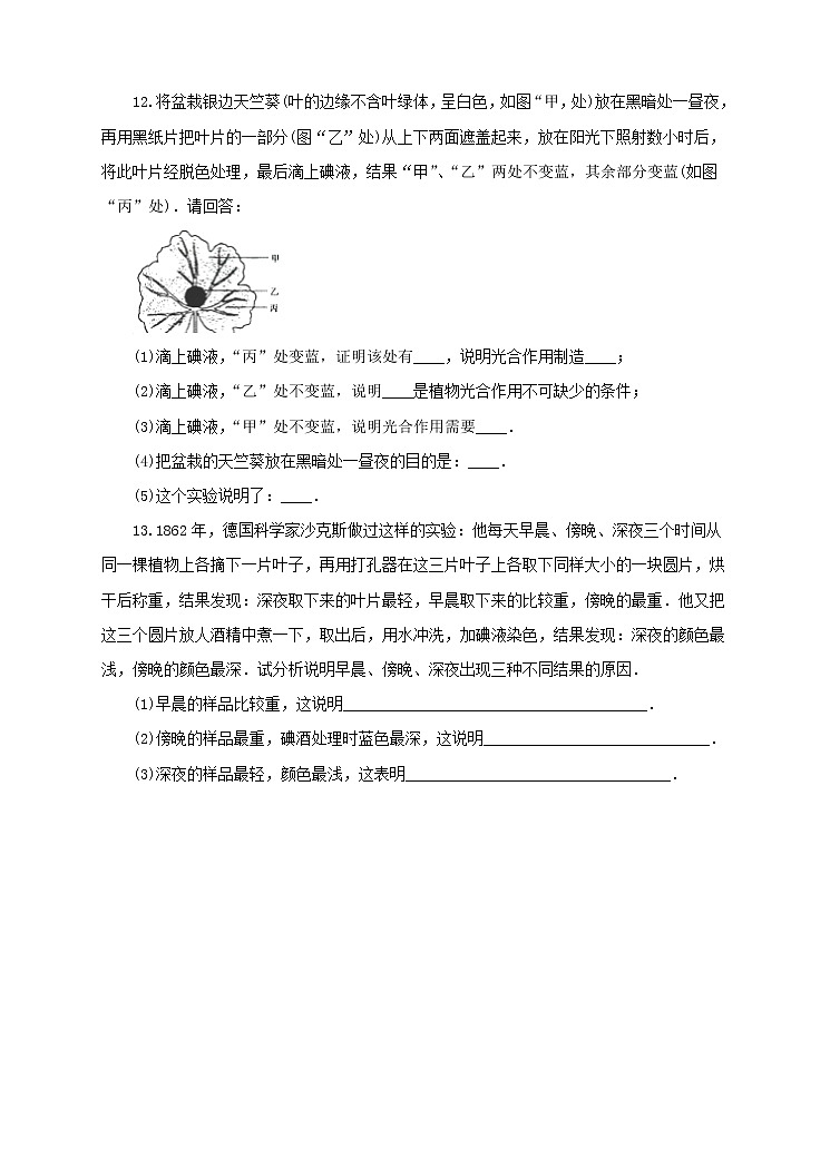 济南版生物七上 1.3《绿色植物的光合作用》第1课时 课件+教案+练习+素材03