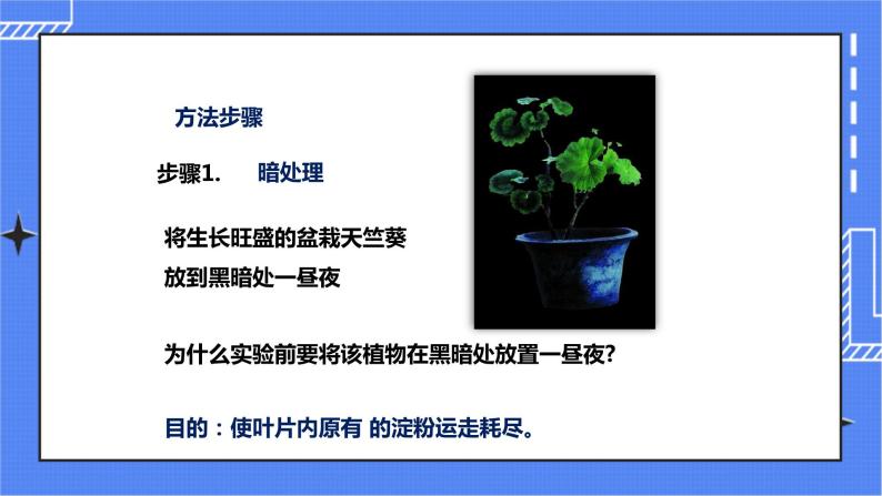济南版生物七上 1.3《绿色植物的光合作用》第1课时  课件+教案+练习+素材06