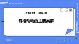 濟(jì)南版生物七上 2.2 《脊椎動(dòng)物的主要類群》第4課時(shí)  課件+教案+練習(xí)+視頻
