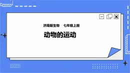 濟(jì)南版生物七上 2.3 《動(dòng)物的運(yùn)動(dòng)》   課件+教案+練習(xí)+視頻